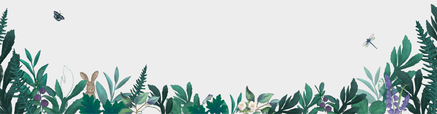 Woodland illustration of green foliage with hidden hare, butterfly and dragonfly
