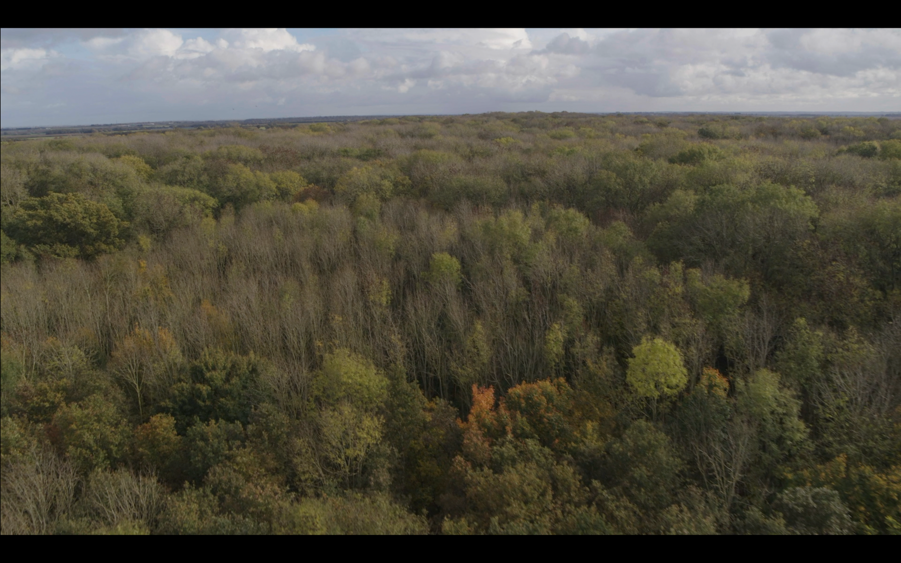 Load video: Flyover drone footage of &quot;Roundwood&quot;