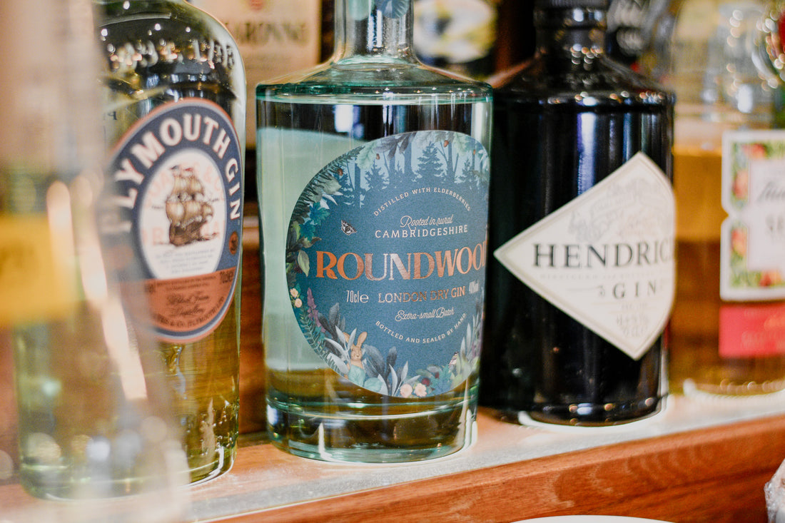 How to Properly Taste Gin: a Beginner's Guide